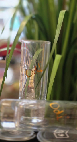 Schnapsglas Odl