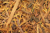Roter Lapacho Natur