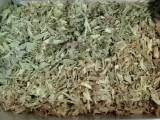 Stevia-Süßkraut A