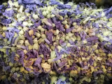 Malvenblüte